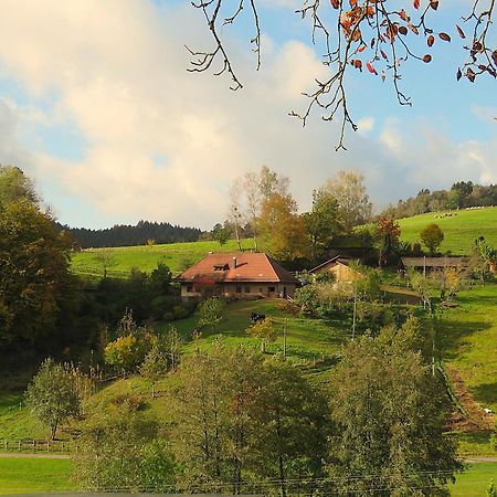 Hernis-Höfle Elzach Exterior foto