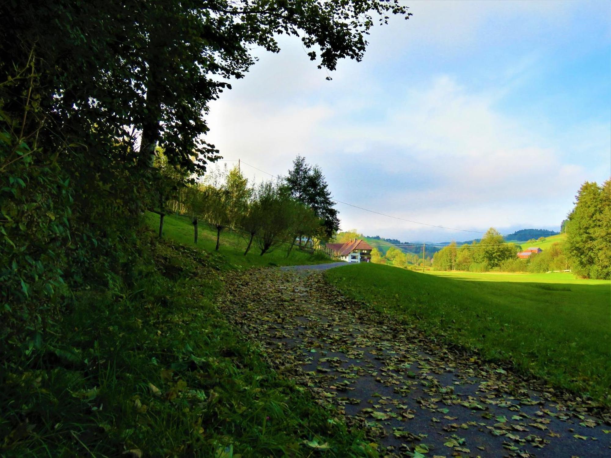 Hernis-Höfle Elzach Exterior foto